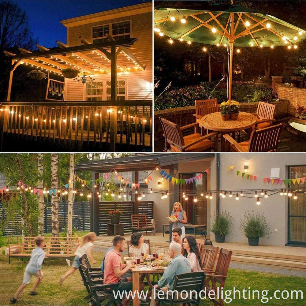 Enchanting Outdoor Fairy Lights